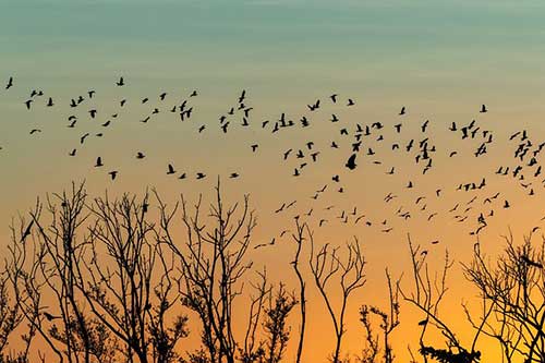 描寫傍晚湖邊美景的句子