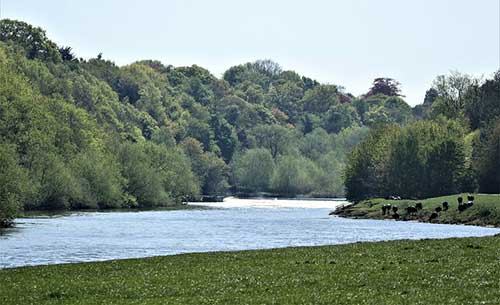感恩兄弟的句子經(jīng)典語錄