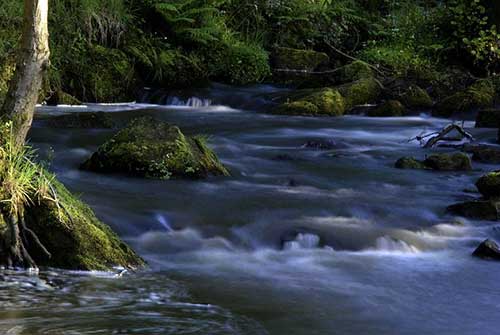 感謝顧客信任溫暖的話