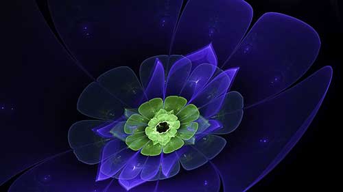 表達對鄰居的感謝的話