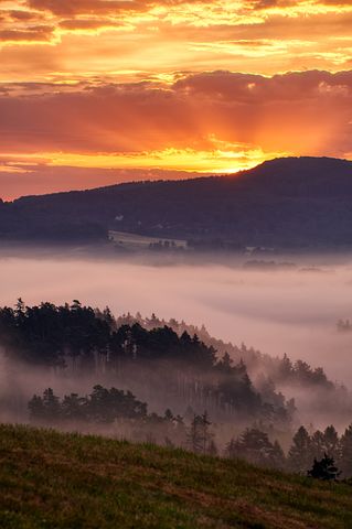 感恩知遇之恩的句子