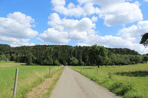 出院后感謝親朋好友的話